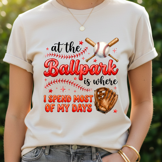 Adult At The Ballpark T-Shirt